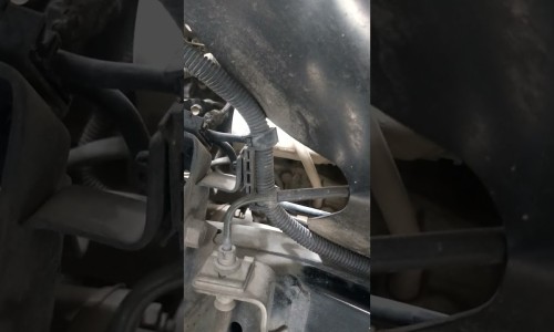 煮熟鱼放冰箱一个月能吃吗网-分享煮熟的鱼在冰箱可以放多久，煮熟的鱼冷藏5天能吃吗知识库